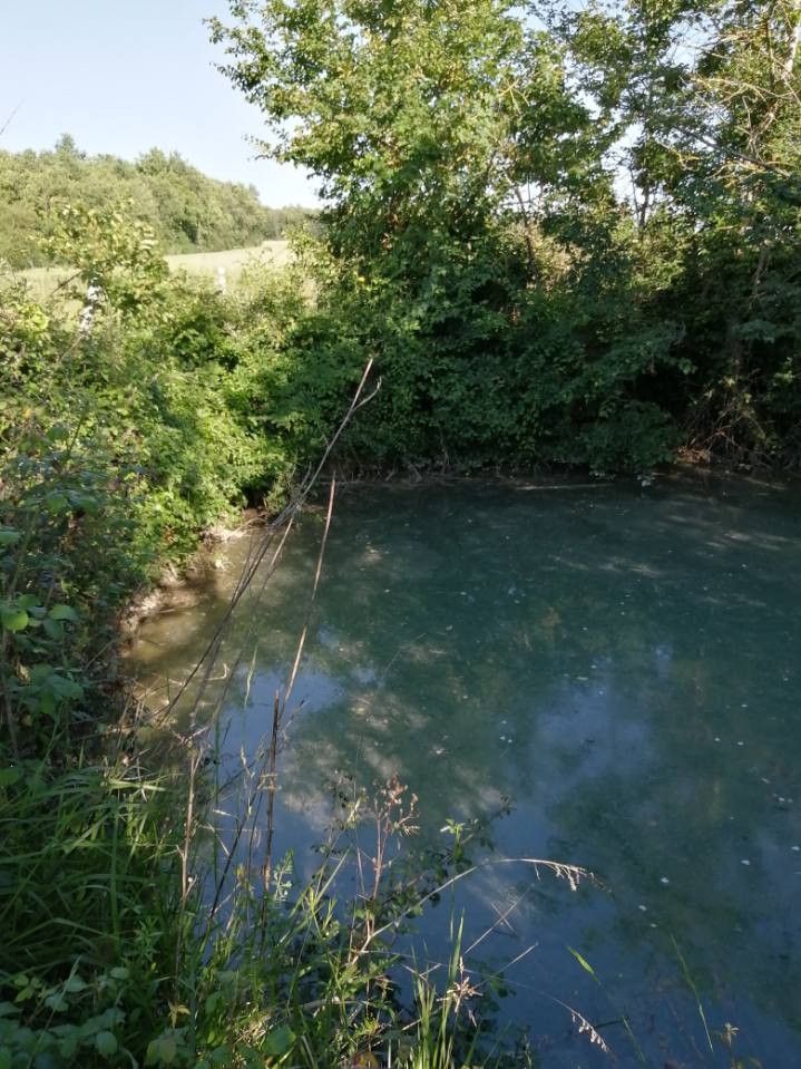 Clôture de notre trou d'eau