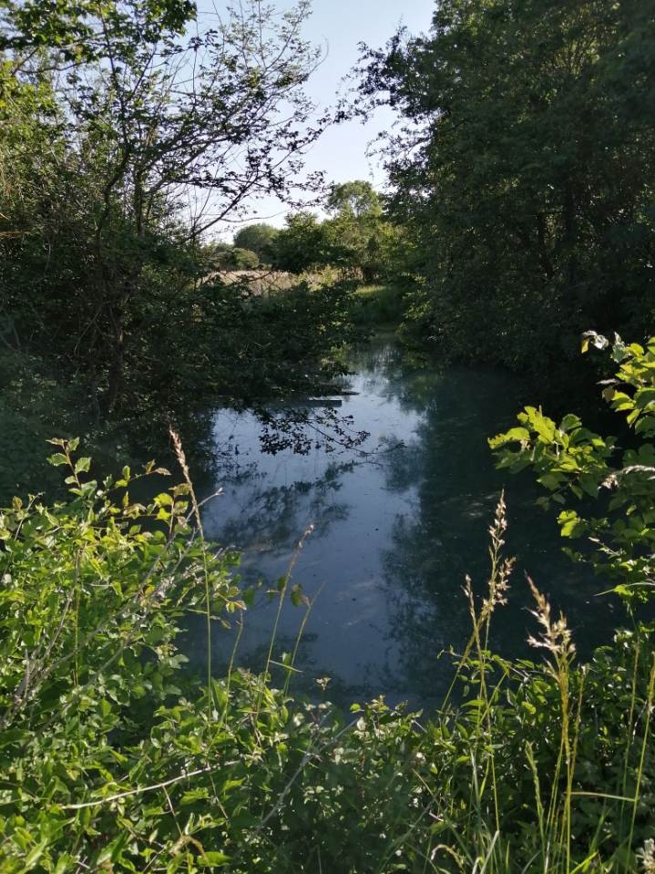 Clôture de notre trou d'eau