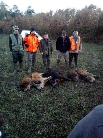 Chasseurs heureux du 22novembre 1