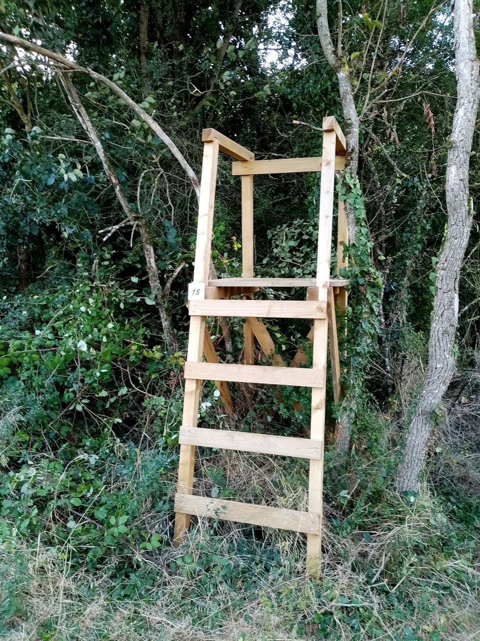 Elacage