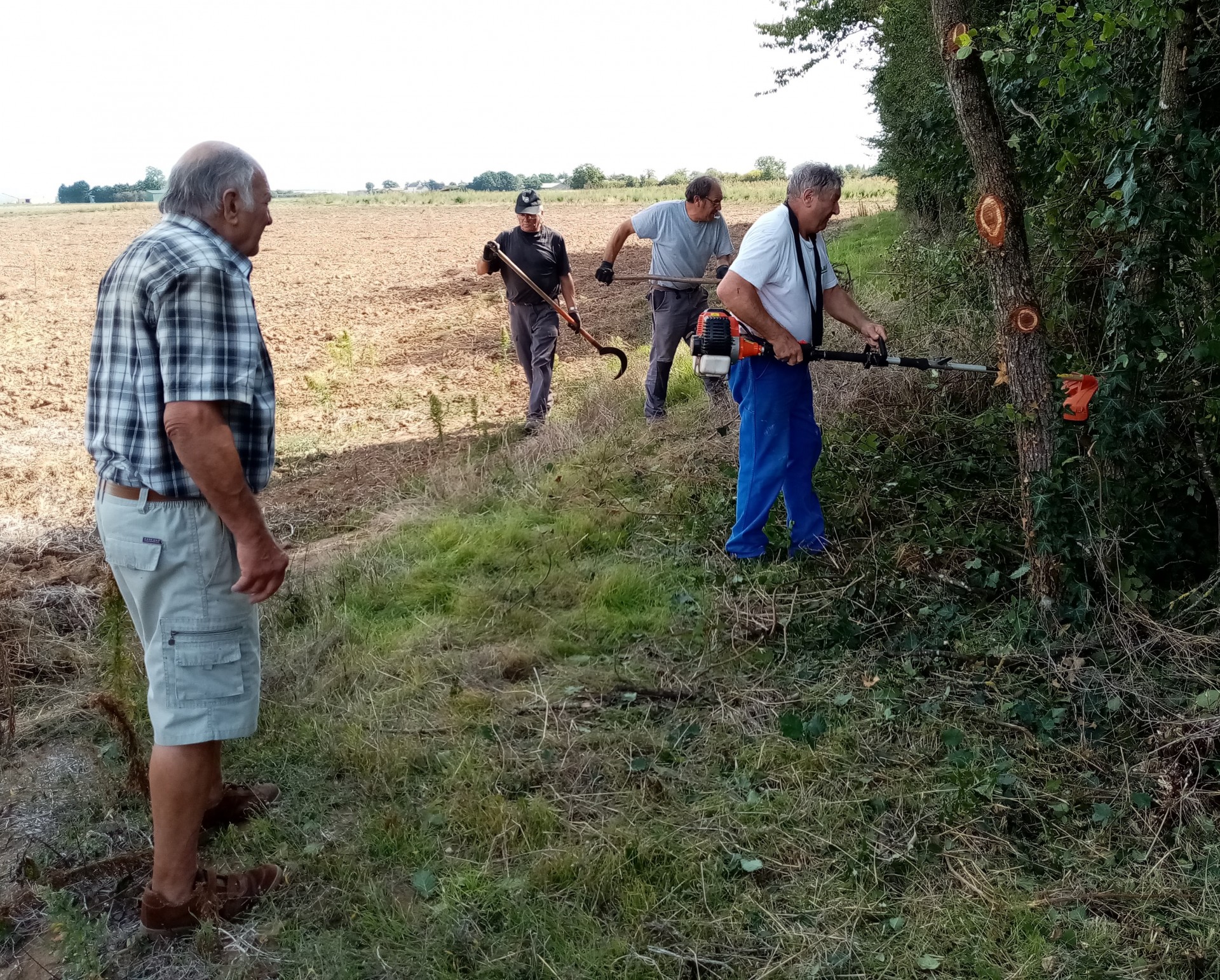 Elagage pour mise en place d 'un mirador
