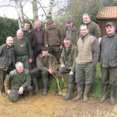 Battue aux chevreuils