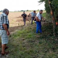Elagage pour mise en place du mirador 08 09 2020
